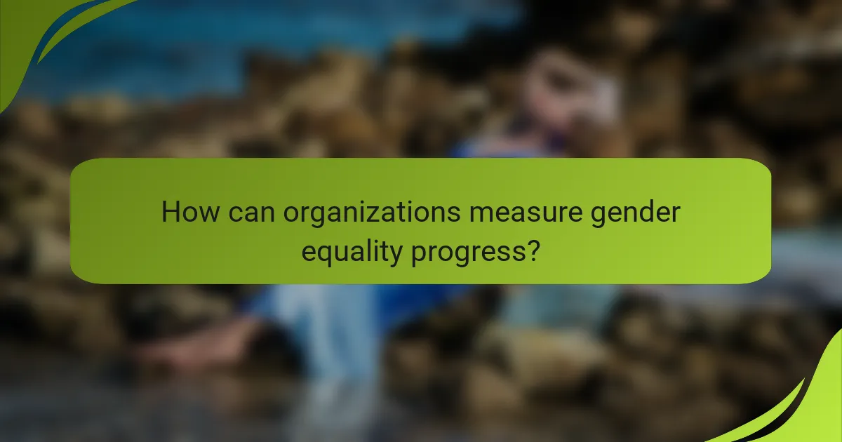 How can organizations measure gender equality progress?