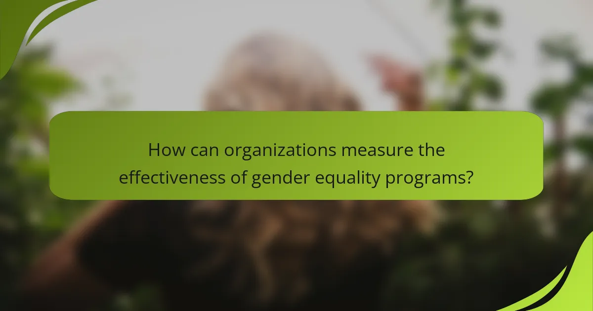How can organizations measure the effectiveness of gender equality programs?