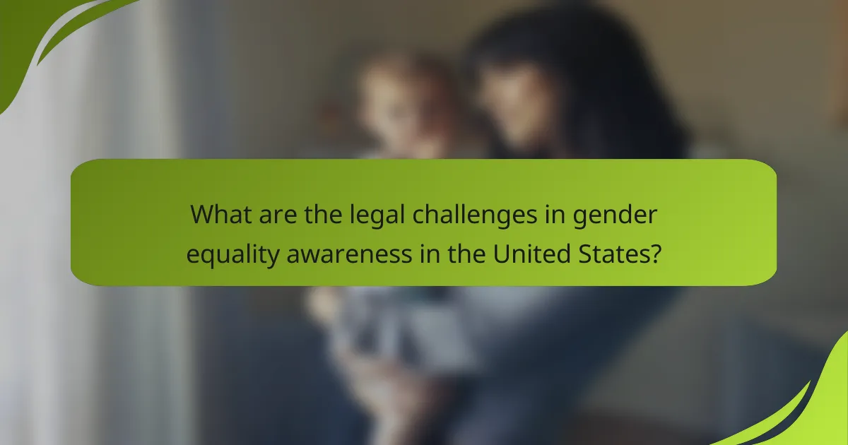 What are the legal challenges in gender equality awareness in the United States?