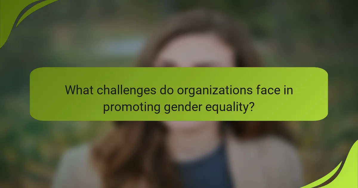 What challenges do organizations face in promoting gender equality?