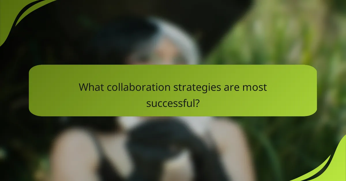 What collaboration strategies are most successful?
