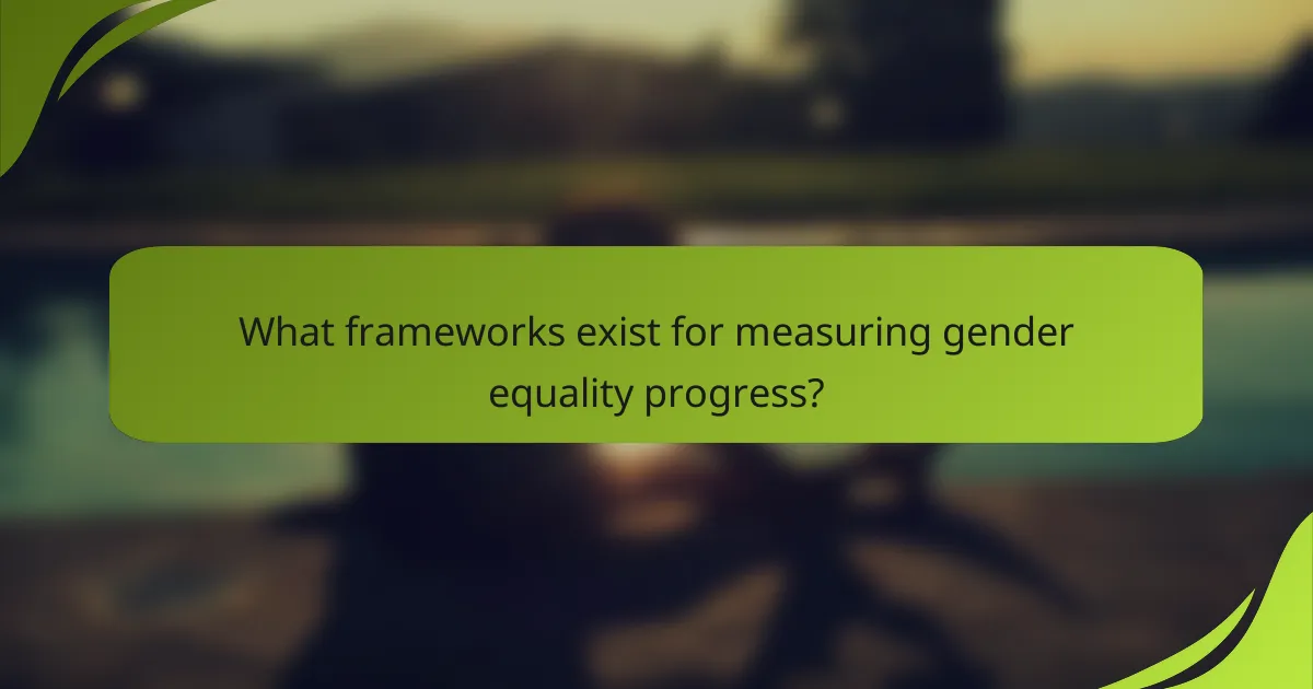 What frameworks exist for measuring gender equality progress?