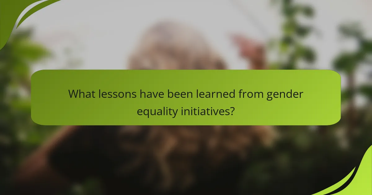What lessons have been learned from gender equality initiatives?