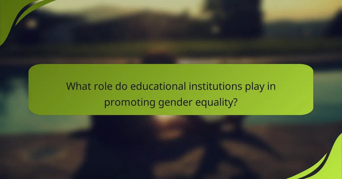 What role do educational institutions play in promoting gender equality?
