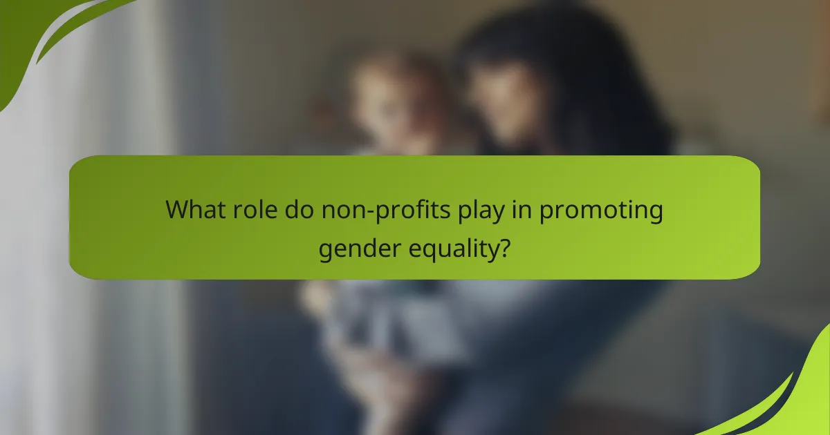 What role do non-profits play in promoting gender equality?