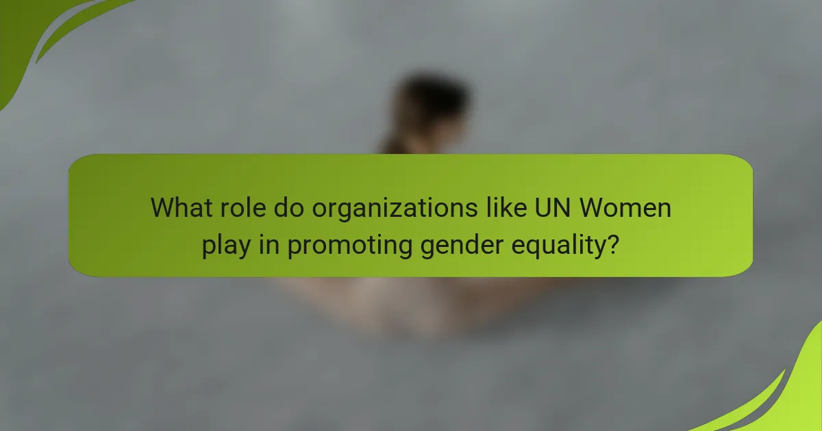 What role do organizations like UN Women play in promoting gender equality?